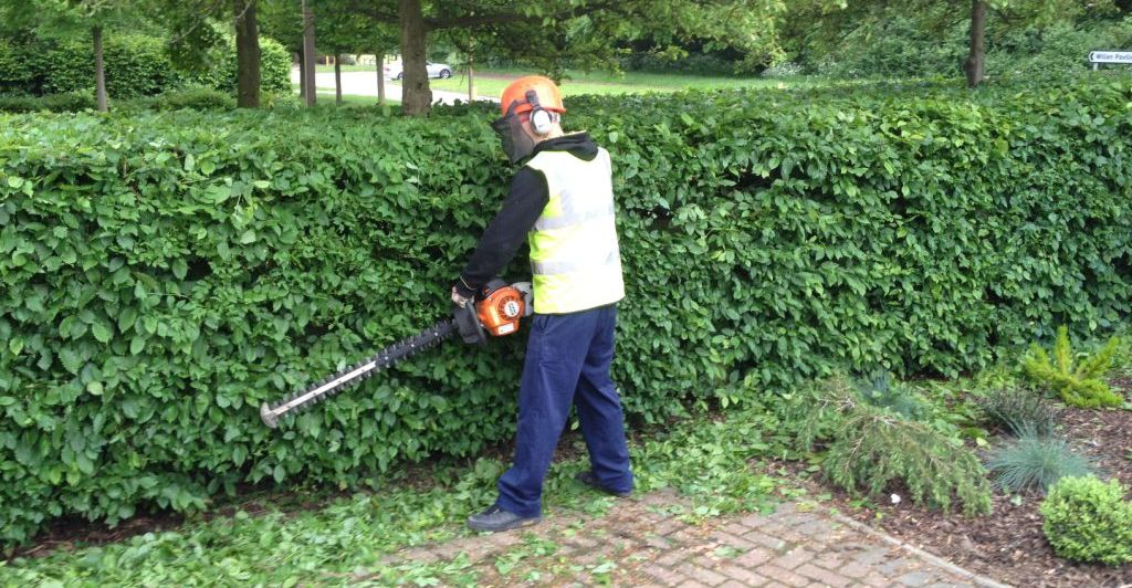 Pruning, Hedge Cutting, Trimming Milton Keynes MDC Landscapes Ltd.